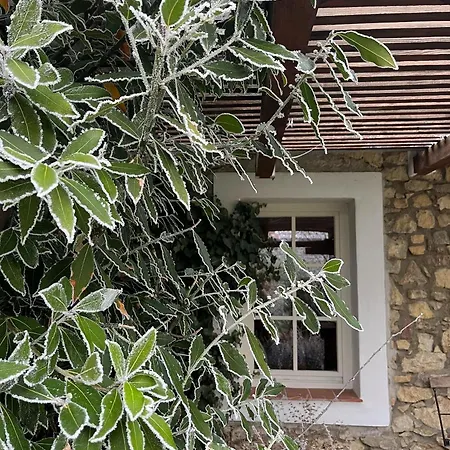 Ko, Es Kavics Vendeghazak *